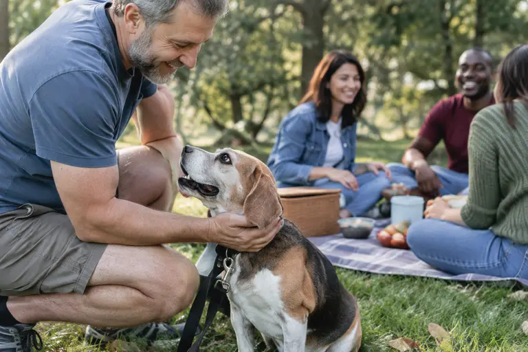 Adult shelter dog sitting calmly with a volunteer in an outdoor run