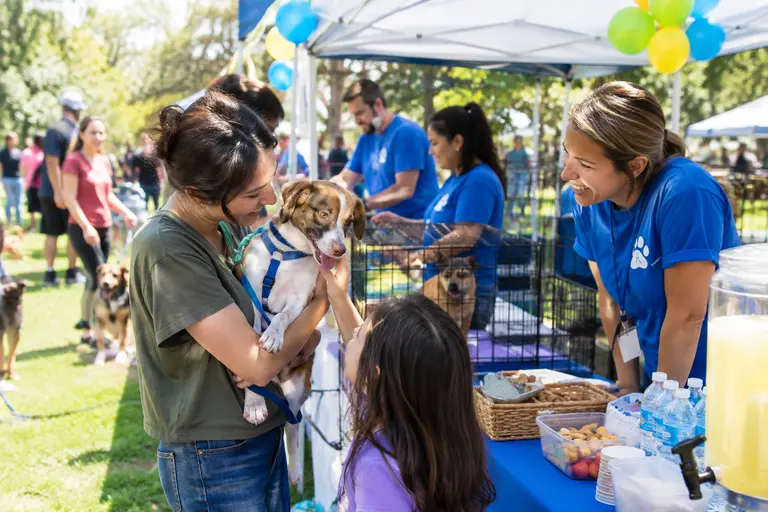 Neighbors sorting pet supplies for a local animal shelter
